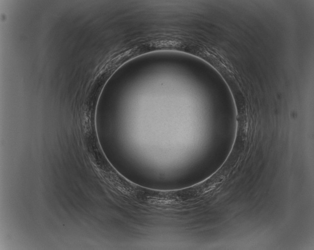 X0000086290743200704090955