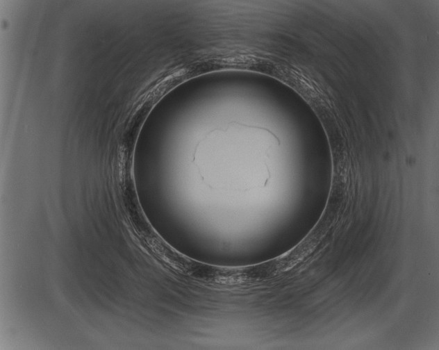 X0000086290744200704090955