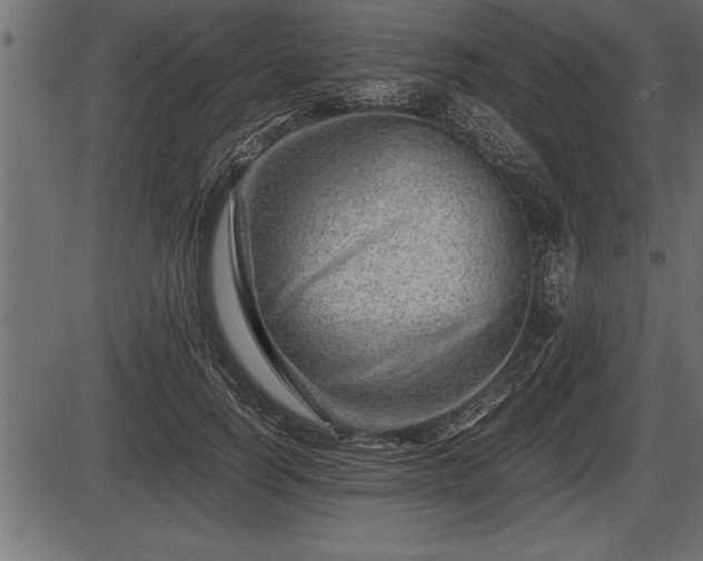 X0000086290746200704090955