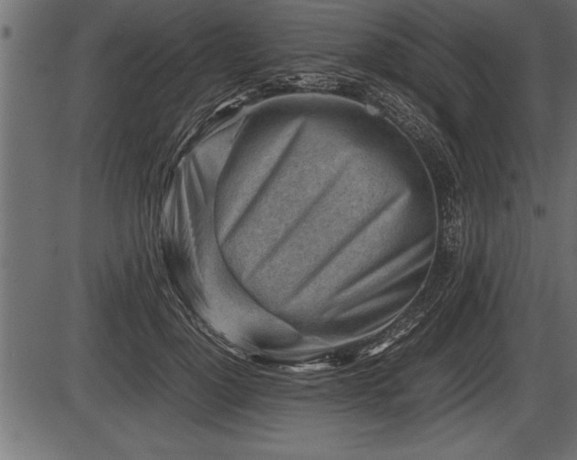 X0000086290748200704090955