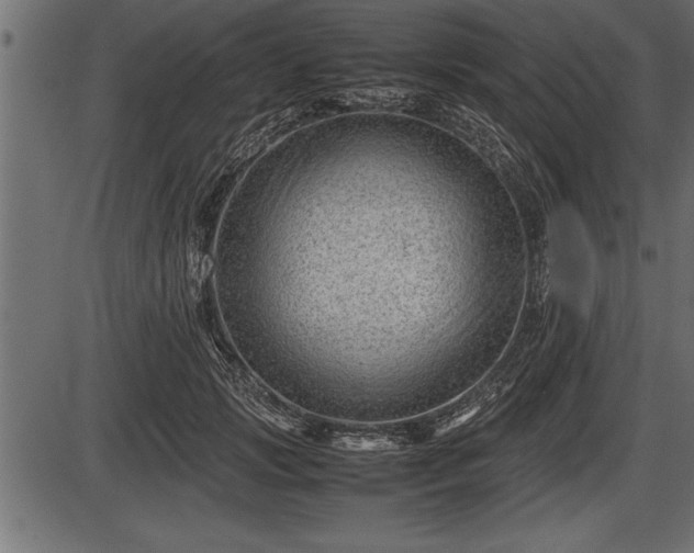 X0000086290749200704090955