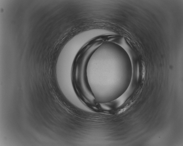 X0000086290750200704090955