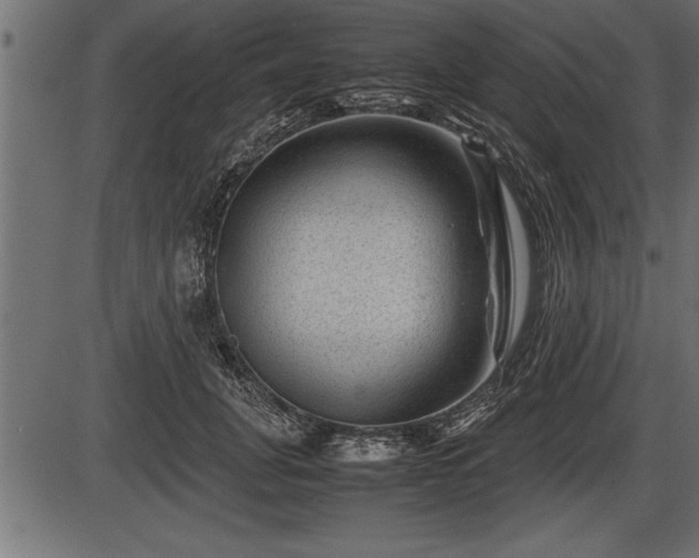 X0000086290751200704090955