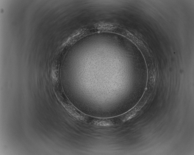 X0000086290755200704090955