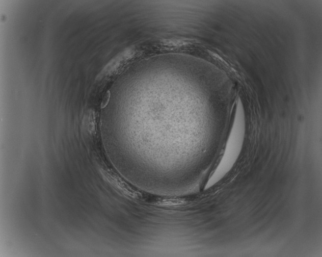 X0000086290758200704090955
