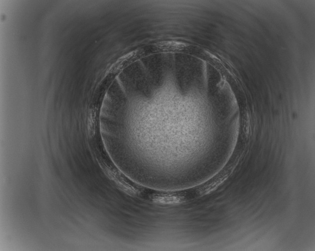 X0000086290759200704090955
