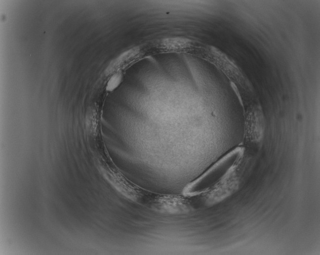 X0000086290762200704090955