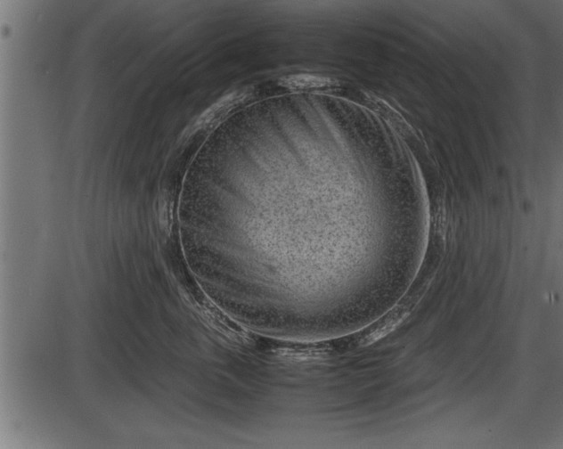X0000086290763200704090955