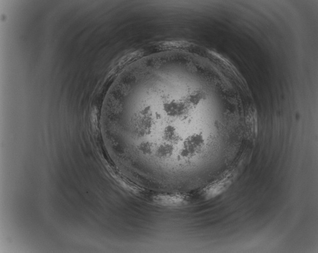 X0000086290765200704090955
