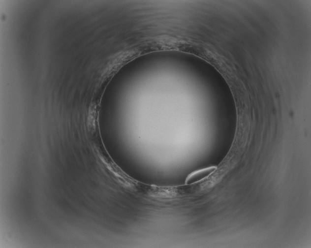 X0000086290768200704090955