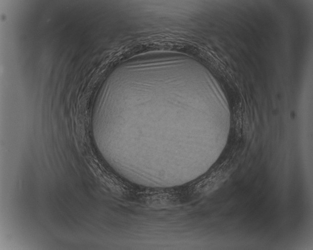 X0000086290769200704090955
