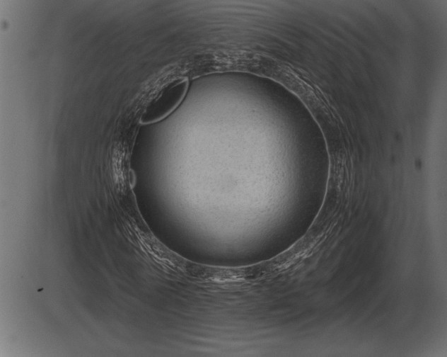 X0000086290770200704090954