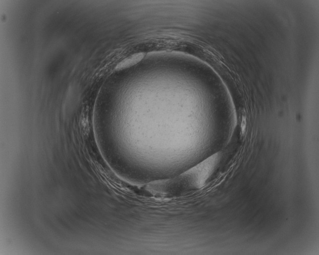 X0000086290771200704090954