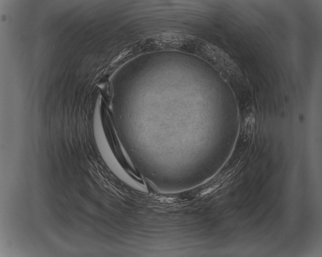 X0000086290772200704090954
