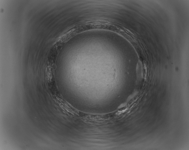 X0000086290774200704090954