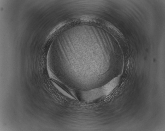 X0000086290776200704090954
