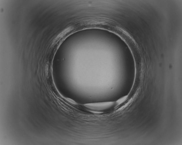X0000086290777200704090954