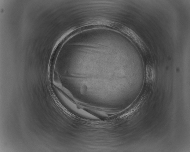 X0000086290780200704090954