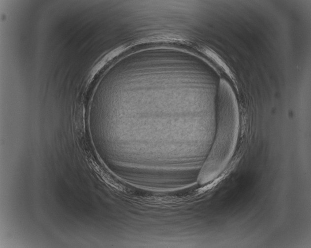 X0000086290781200704090954