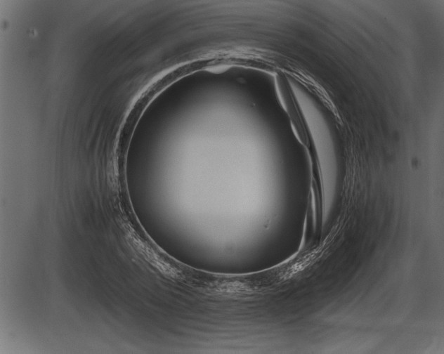 X0000086290784200704090954