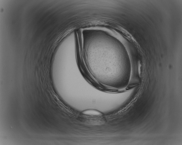 X0000086290785200704090954