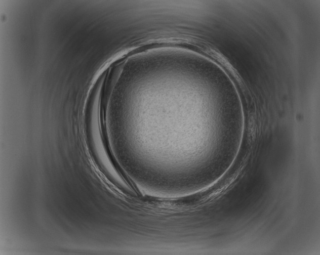 X0000086290787200704090954