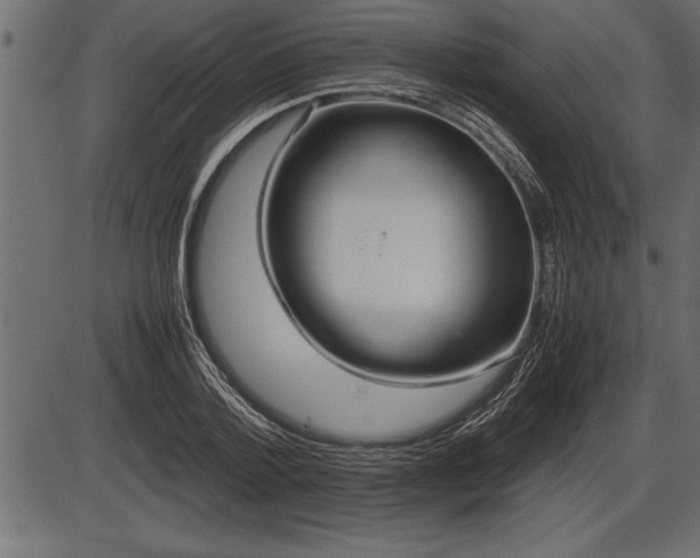 X0000086290788200704090954