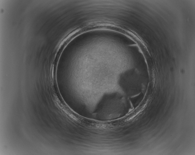 X0000086290790200704090954