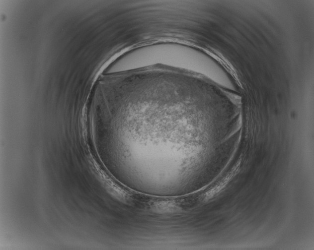 X0000086290798200704090954