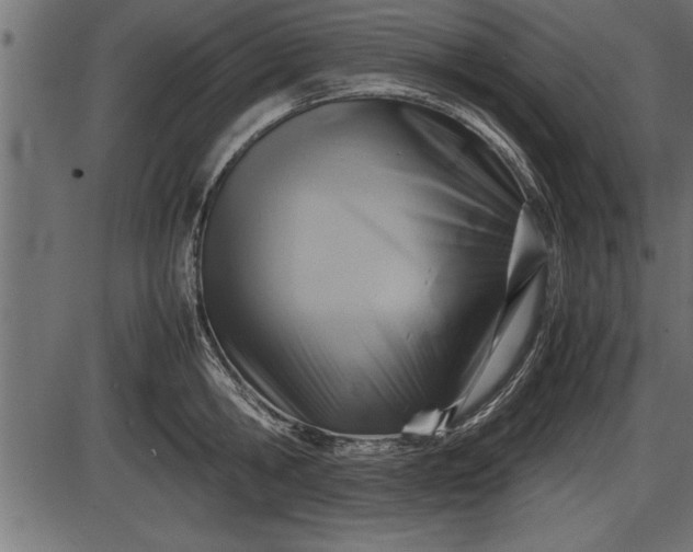 X0000086290806200704090954