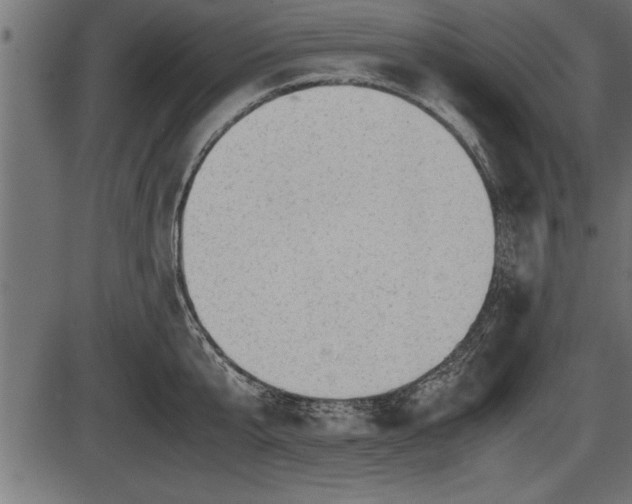 X0000086290807200704090954