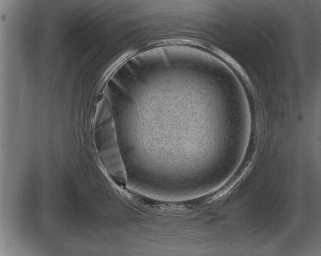 X0000086290809200704090954