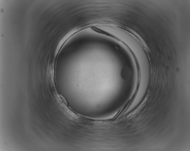 X0000086290812200704090954