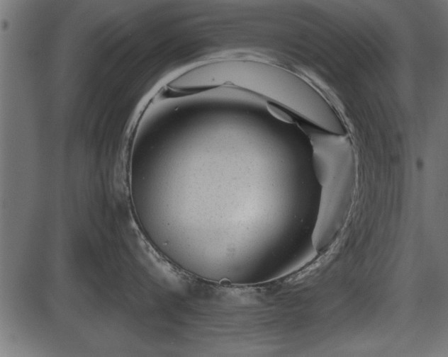 X0000086290816200704090954
