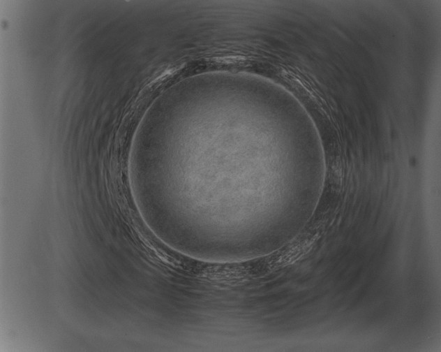X0000086290817200704090953