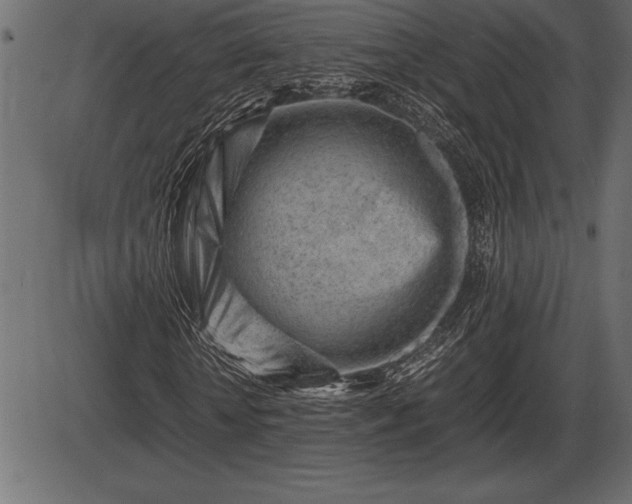 X0000086290818200704090953