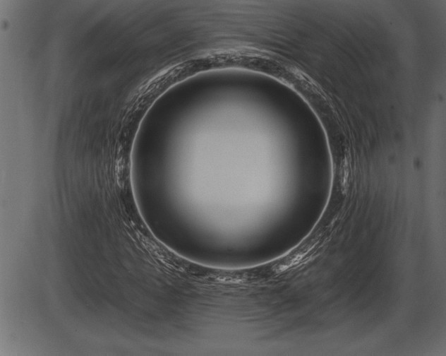 X0000086290822200704090953