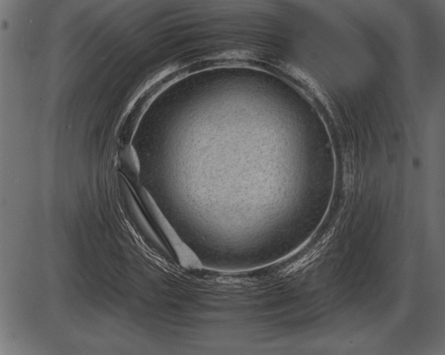 X0000086290827200704090953