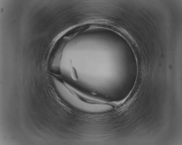 X0000086290830200704090953
