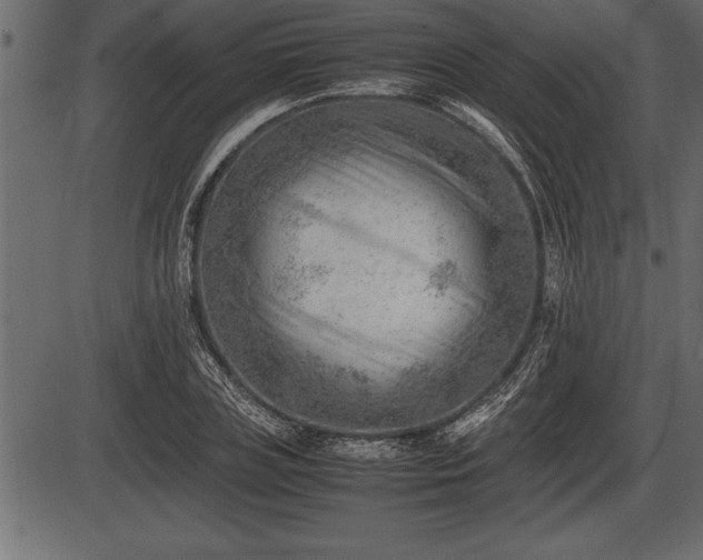 X0000086290835200704090953