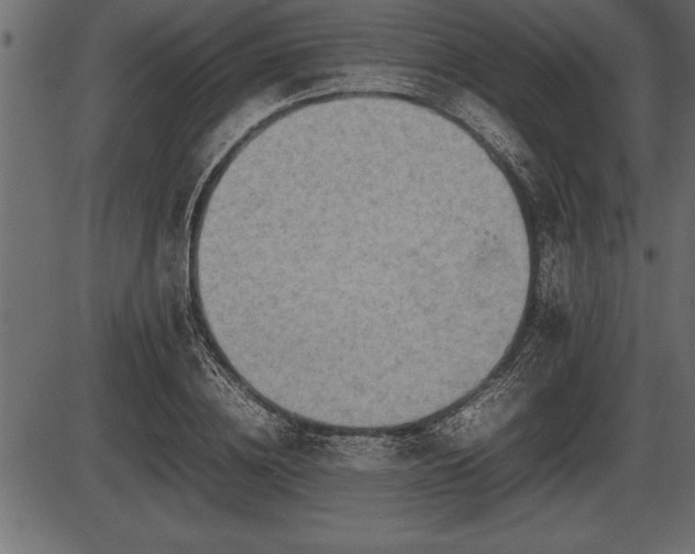 X0000086290836200704090953
