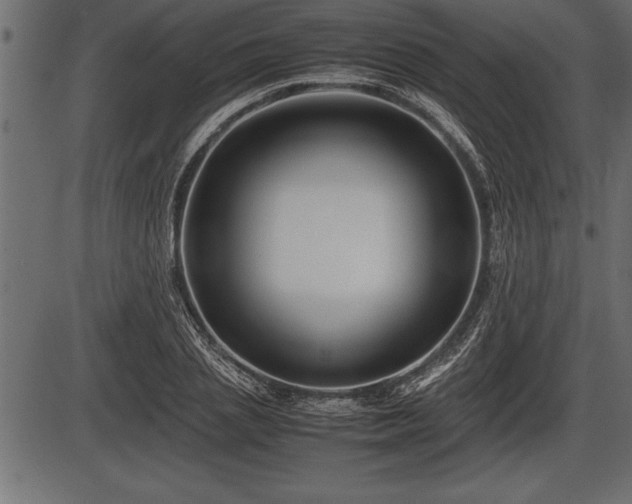 X0000086290837200704090953