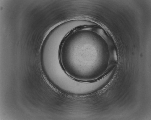 X0000086290838200704090953