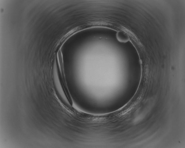 X0000086290841200704090953