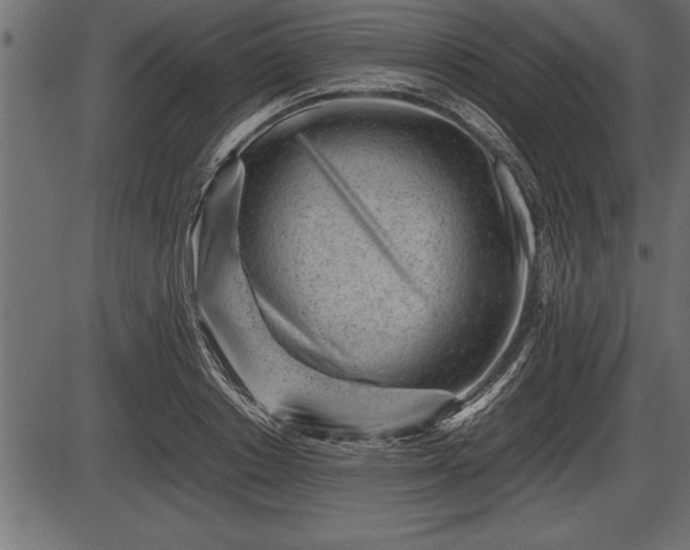 X0000086290842200704090953