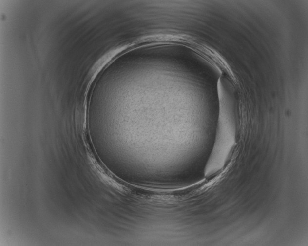 X0000086290844200704090953