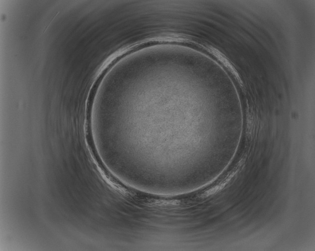 X0000086290845200704090953