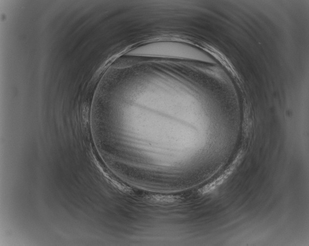 X0000086290849200704090953