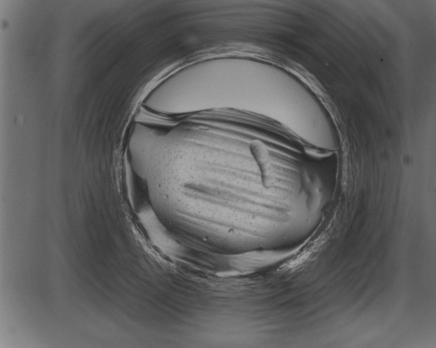 X0000086290850200704090953