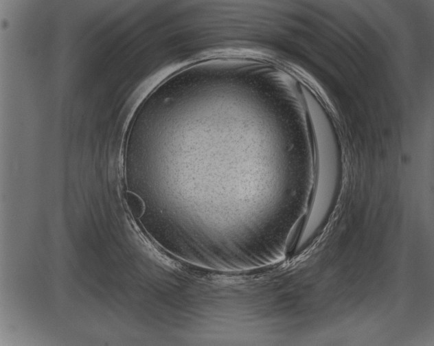 X0000086290852200704090954